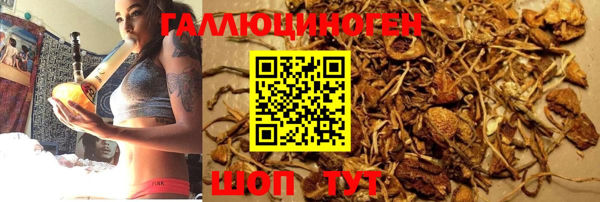 Псилоцибиновые грибы Psilocybine cubensis  Вход с VPN  Рязань 